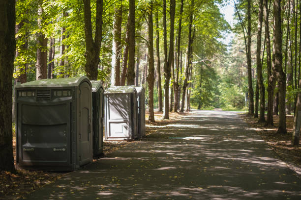 Leaf Removal in The Hills, NJ
